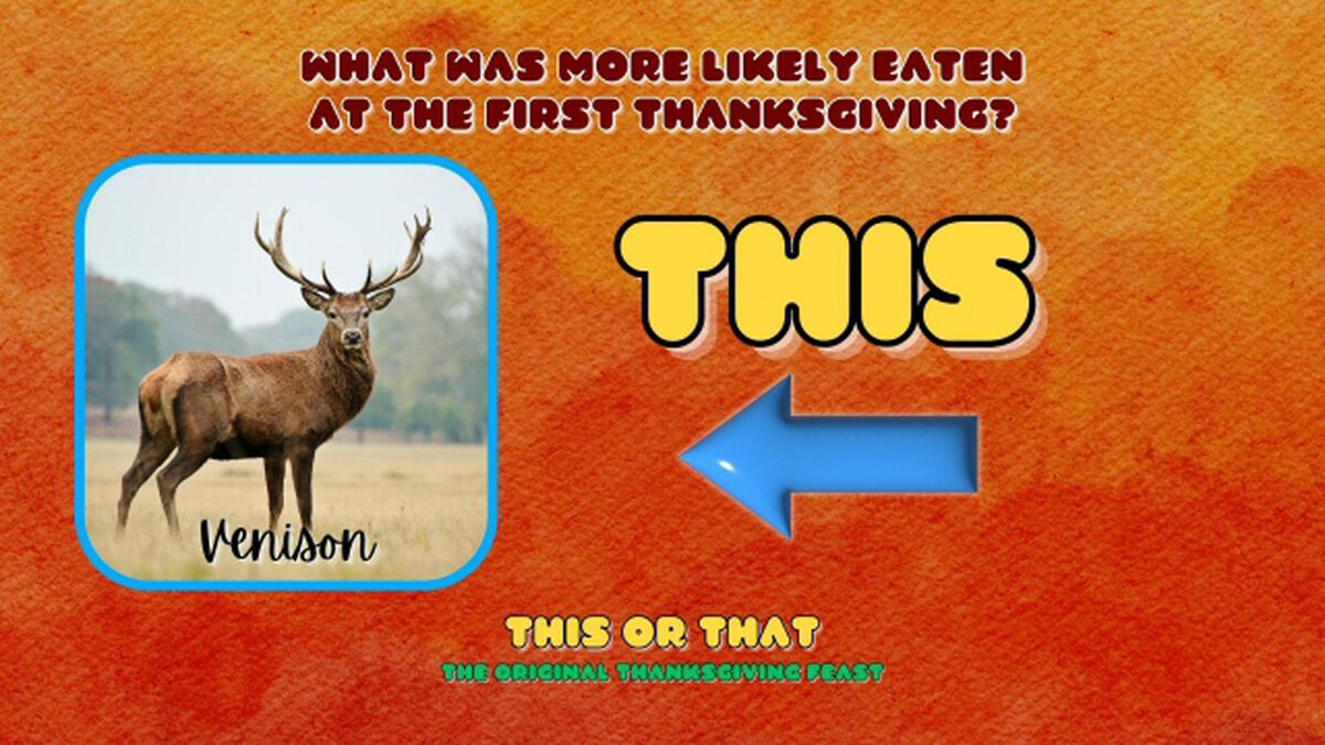 This or That: The Original Thanksgiving Feast image number null
